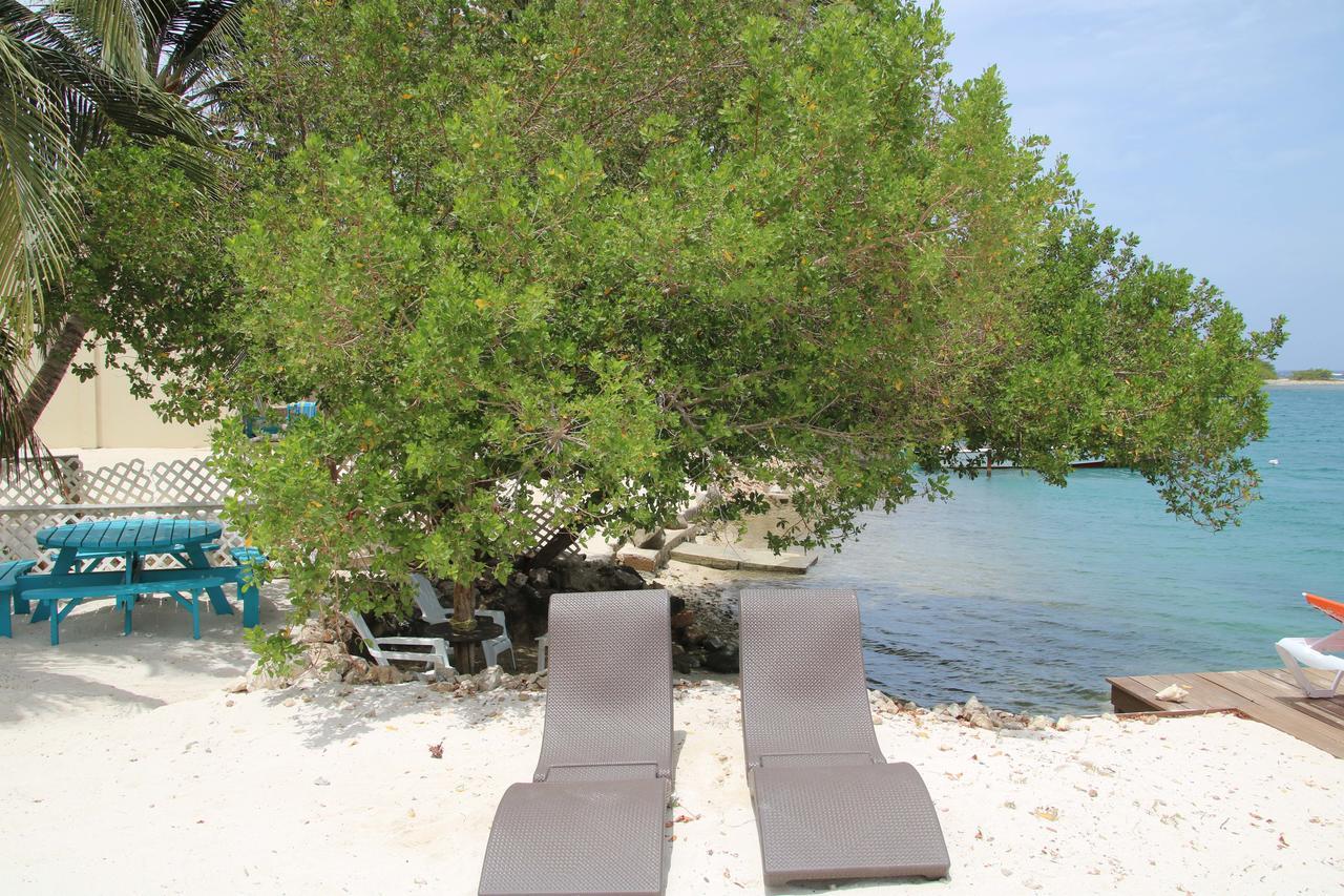 Coral Reef Beach Savaneta Exterior photo