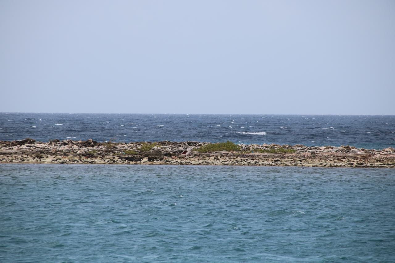 Coral Reef Beach Savaneta Exterior photo